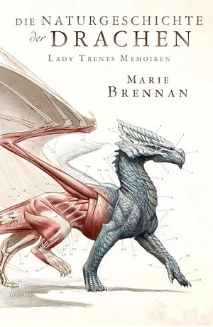 Die Naturgeschichte der Drachen by Marie Brennan