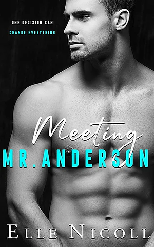 Meeting Mr. Anderson by Elle Nicoll