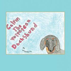 Calvin the Velveteen Dachshund by Ed Roberts