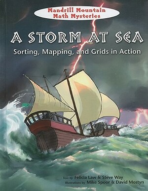 A Storm at Sea: Sorting, Mapping, and Grids in Action by Steve Way, Felicia Law