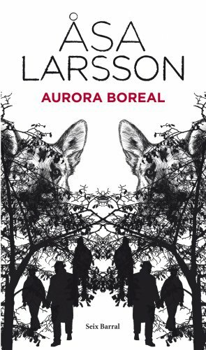 Aurora boreal by Åsa Larsson