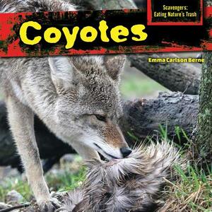 Coyotes by Emma Carlson Berne