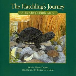 Hatchling's Journey by Kristin Bieber Domm