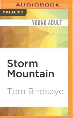 Storm Mountain by Tom Birdseye