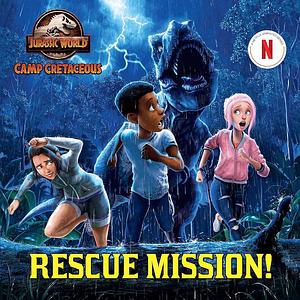 Rescue Mission! by Steve Behling