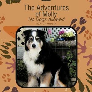 The Adventures of Molly: No Dogs Allowed by Jean Chandler