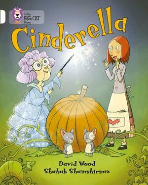 Cinderella by David Wood