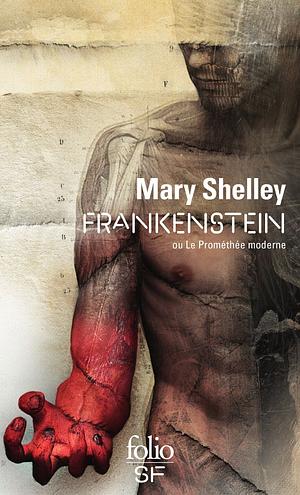 Frankenstein ou Le Prométhée moderne by Mary Shelley