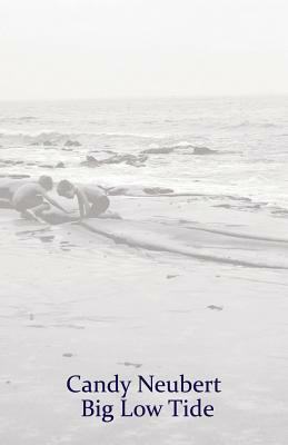 Big Low Tide by Candy Neubert