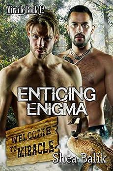 Enticing Enigma by Shea Balik