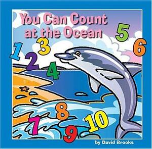 You Can Count at the Ocean by David Brooks