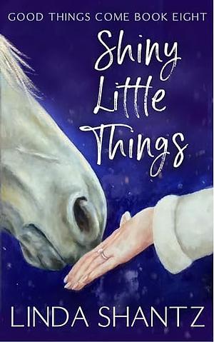 Shiny Little Things by Linda Shantz