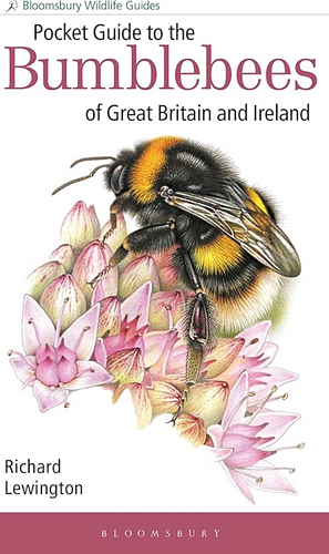 Pocket Guide to the Bumblebees of Great Britain and Ireland by Richard Lewington