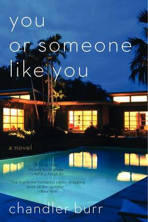 You or Someone Like You: A Novel by Chandler Burr