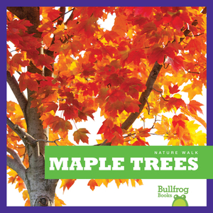 Maple Trees by Rebecca Stromstad Glaser