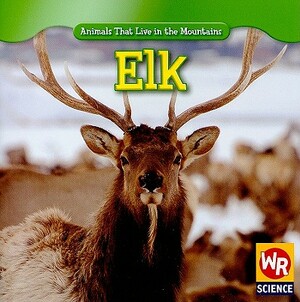 Elk by JoAnn Early Macken