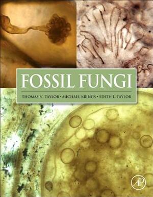 Fossil Fungi by Edith L. Taylor, Thomas N. Taylor, Michael Krings
