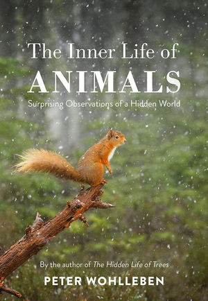 The Inner Life of Animals. Surprising Observations of a Hidden World by Peter Wohlleben