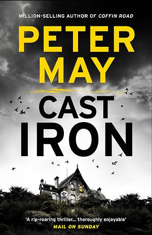 Cast Iron: The Red-Hot Penultimate Case of the Enzo Series (the Enzo Files Book 6) by Peter May