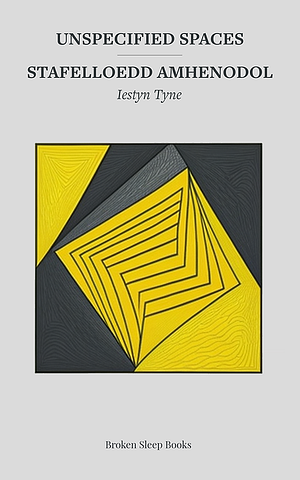 Unspecified Spaces by Iestyn Tyne