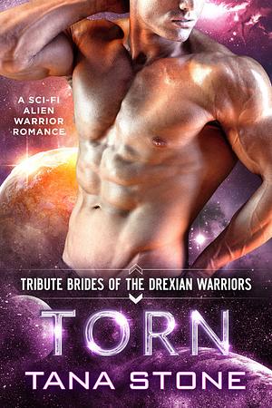 Torn by Tana Stone