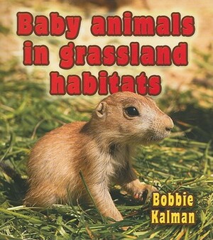 Baby Animals in Grassland Habitats by Bobbie Kalman