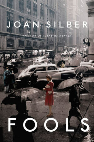 Fools: Stories by Joan Silber