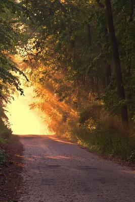 Sunlight Down the Road: A Dirt Road or Track Is a Type of Unpaved Road Made from the Native Material of the Land Surface Through Which It Pass by Planners and Journals