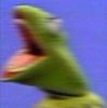 froggoh's profile picture