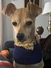 babydisko's profile picture