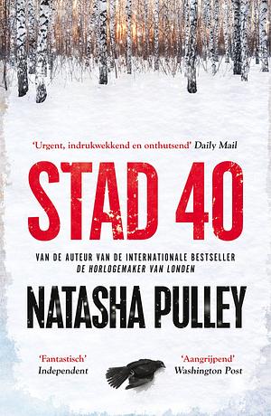 Stad 40 by Natasha Pulley