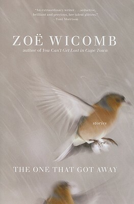 The One That Got Away: Short Stories by Zoë Wicomb