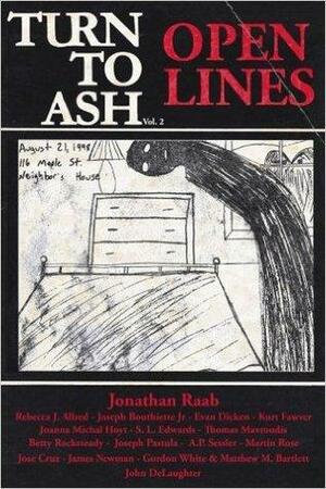 Turn to Ash Volume 2. Open Lines by Benjamin Holesapple