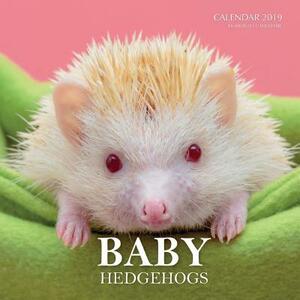 Baby Hedgehogs Calendar 2019: 16 Month Calendar by Mason Landon