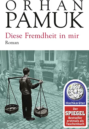 Diese Fremdheit in mir by Orhan Pamuk