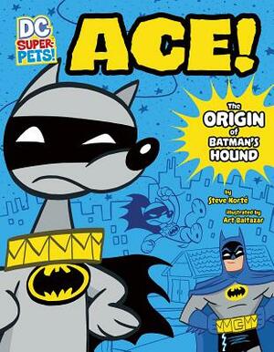 Ace: The Origin of Batman's Hound by Steve Korte