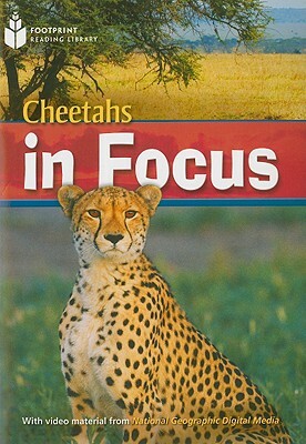 Cheetahs in Focus by Rob Waring