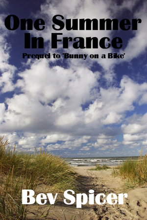 One Summer In France by Bev Spicer