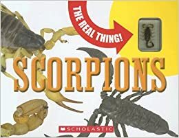 Scorpions by Paige Krul Araujo, M. Jan Ove Rein, Mary Packard