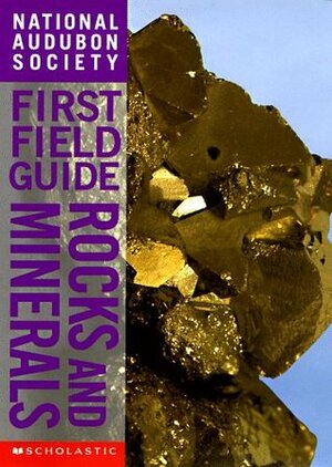 Rocks and Minerals (National Audubon Society First Field Guide) by Edward R. Ricciuti