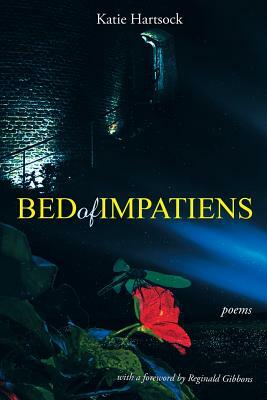 Bed of Impatiens by Katie Hartsock