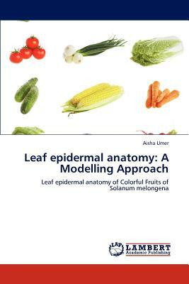 Leaf Epidermal Anatomy: A Modelling Approach by Aisha Umer