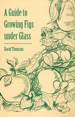 A Guide to Growing Figs Under Glass by David Thomson