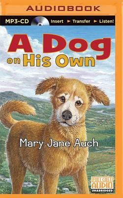 A Dog on His Own by Mary Jane Auch