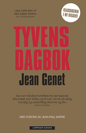 Tyvens dagbok by Jean Genet