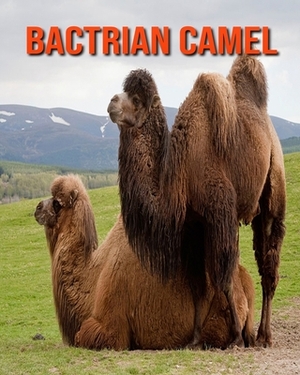 Bactrian Camel: Bactrian Camel! Learn About Bactrian Camel and Enjoy Colorful Pictures by Diane Jackson