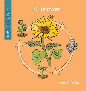 Sunflower by Susan H. Gray