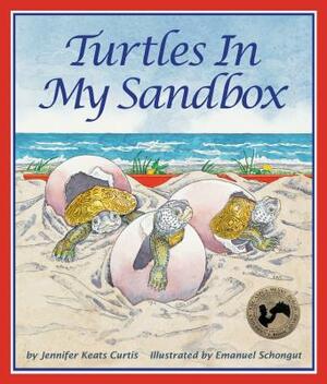 Turtles in My Sandbox by Jennifer Keats Curtis