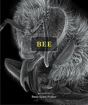Bee by Rose-Lynn Fisher, Verlyn Klinkenborg
