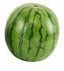 melonmachinery's profile picture